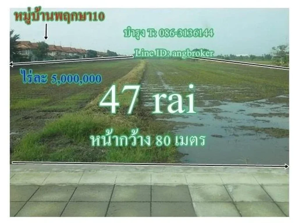 ขายที่ 37ไร่40ไร่45ไร่47ไร่50ไร่ ไทรน้อย