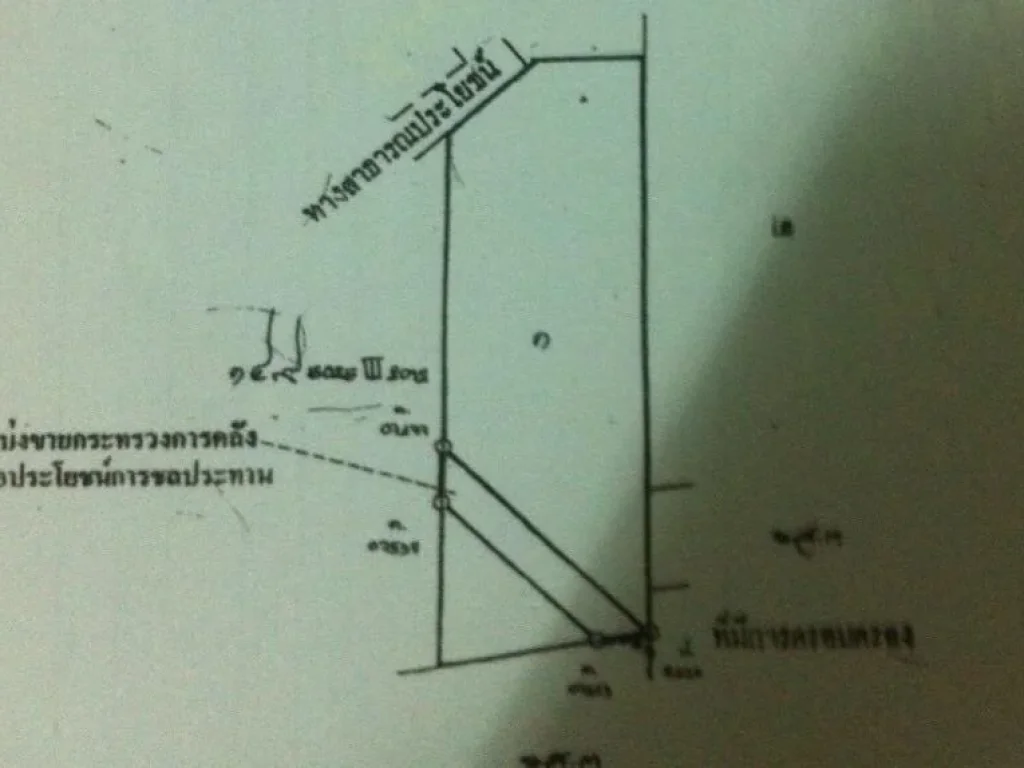 ขายสวนปาล์ม 18 ไร่ 1 งาน ไร่ละ 136000-