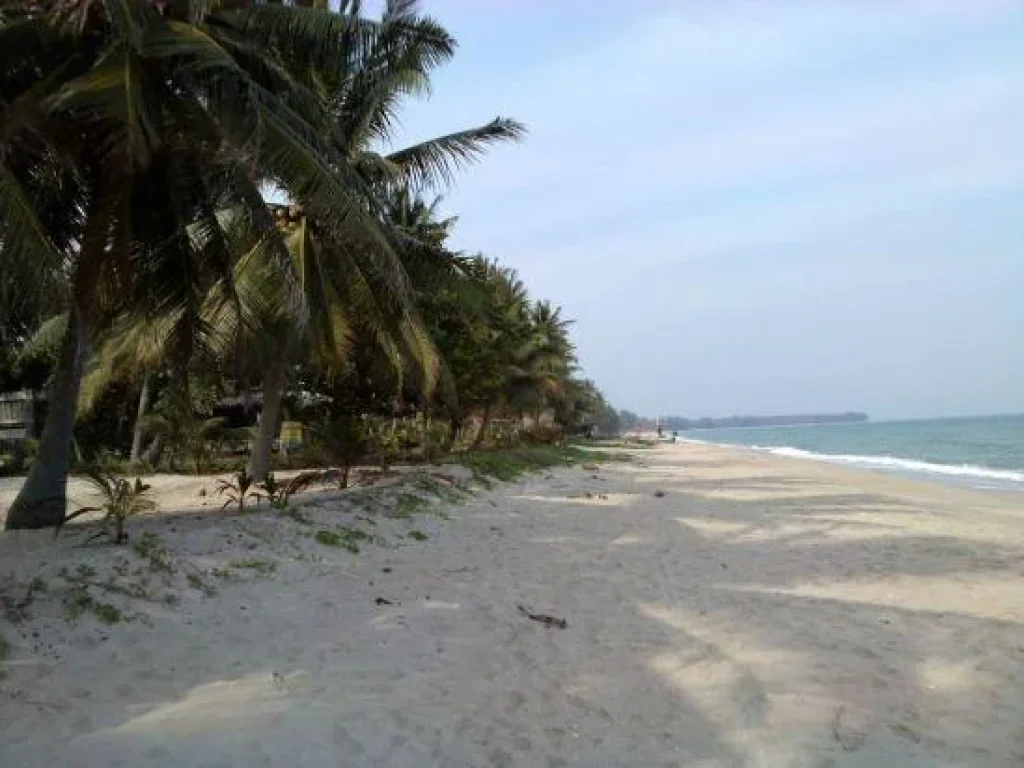 ขายที่ติดทะเลหาดส่วนตัว ที่สวยมากหาดแสงอรุณหาดสวยในจประจวบ