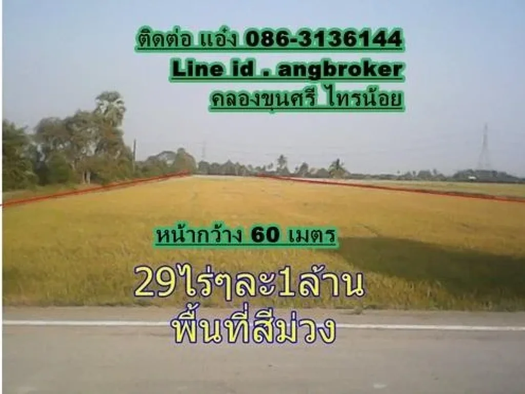 ขายที่นา 29 ไร่ๆละ1ล้านบาท ติดถนนสองด้าน พื้นที่สีม่วง อยู่คลองขุนศรี