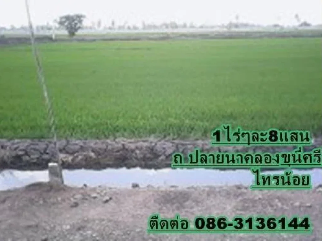 ขายที่ 1-3 ไร่ อยู่ไทรน้อย นนทบุรี