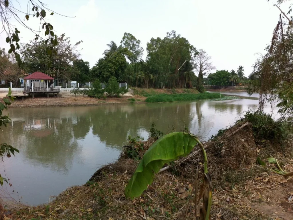 ขายที่ดินติดแม่น้ำท่าจีน 2 ไร่ 2 งาน พร้อมบ้าน 1 หลัง ด้านหน้าติดถนนเทศบาล