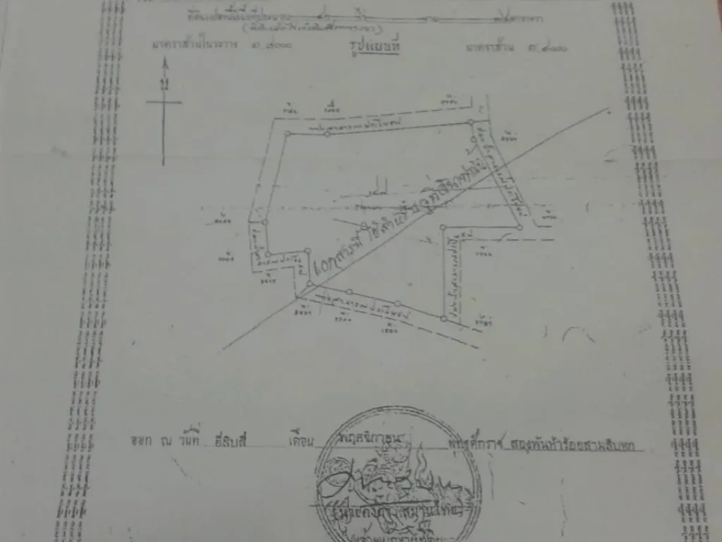 ขายที่ดิน พนัสนิคม 41 ไร่