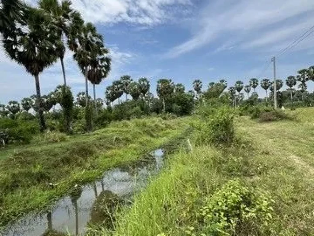 ขายที่ดินแปลงสวยทำเลดี อสทิงพระ จสงขลา ใกล้แหล่งชุมชน