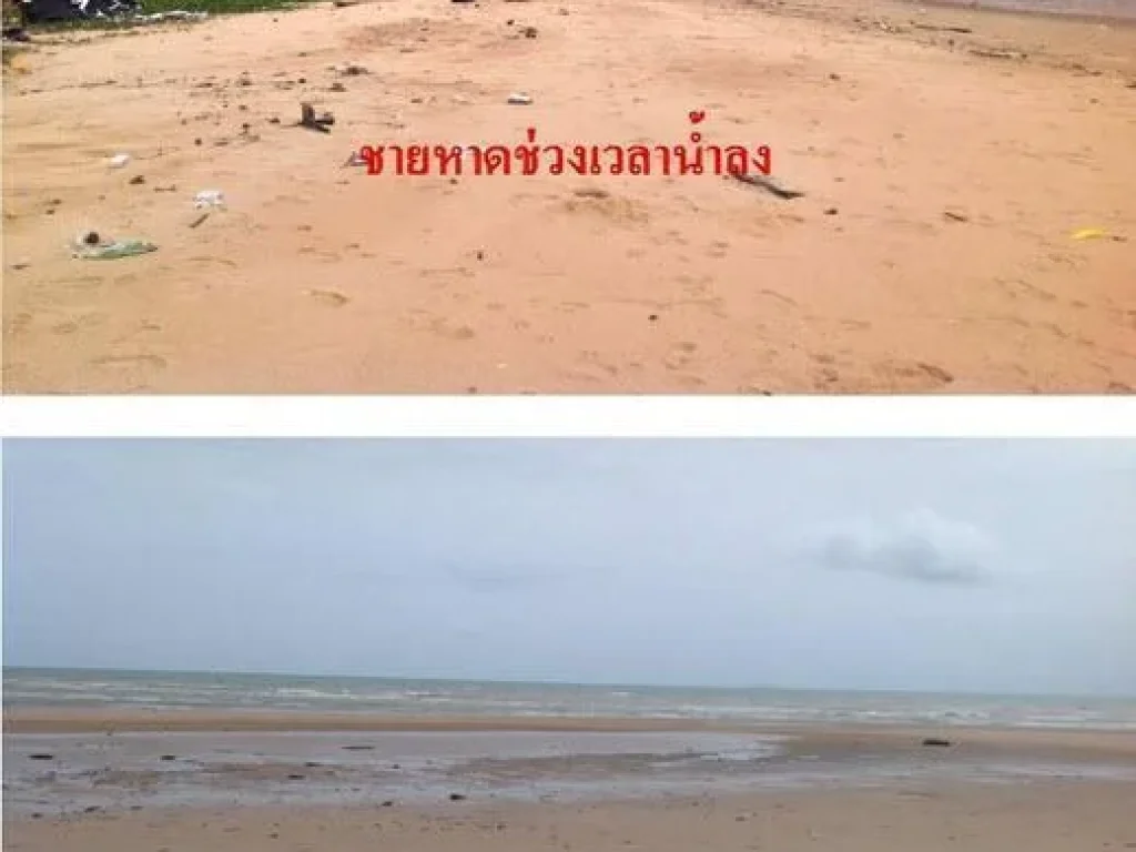 ที่ดินติดทะเลชายหาดส่วนตัว นาเจอมเทียน 8 ไร่ ขาย 385 ล้านบาท