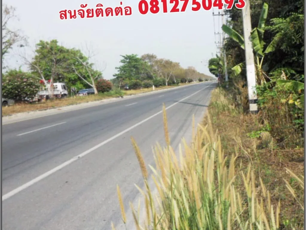 ขายที่ดินติดถนน4เลน