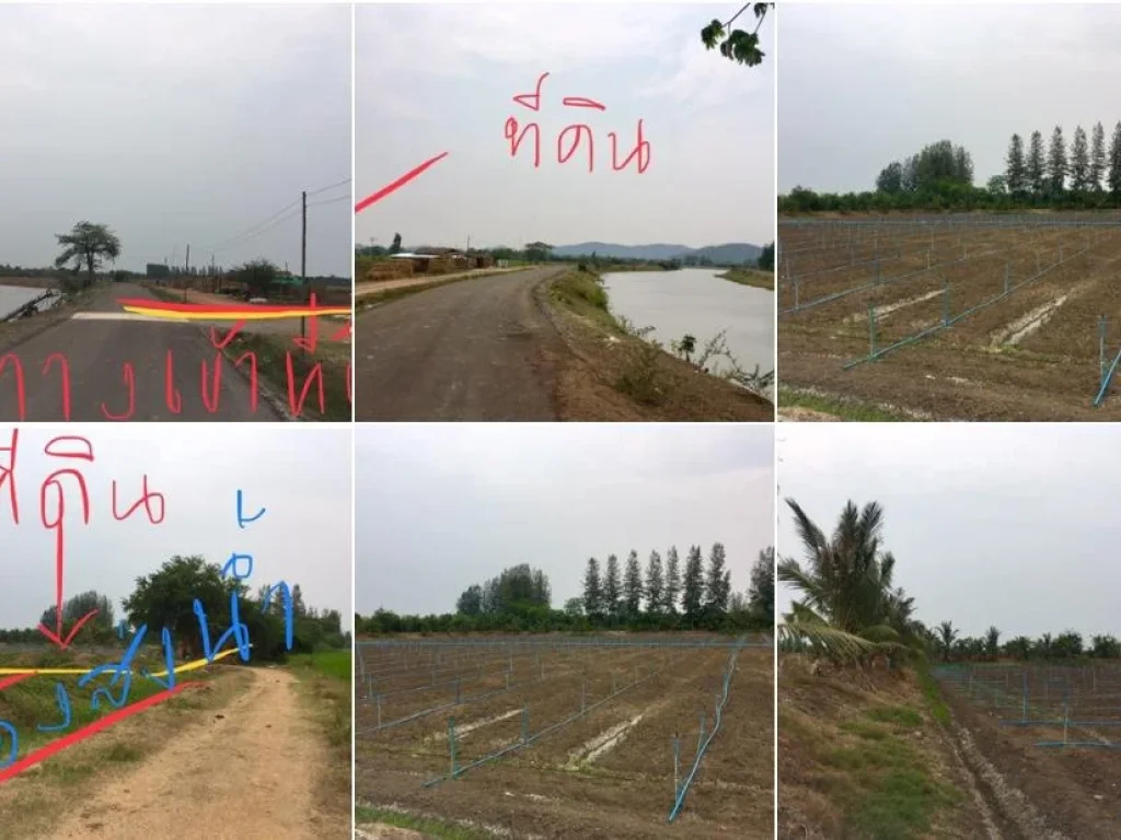 ที่ดินโฉนดเหมาะที่จะทำการเกษตรสวนผักสวนผลไม้ต่างๆที่ดินมี 10 ไร่