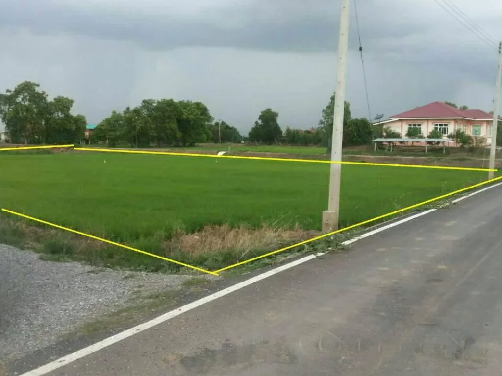 ขายที่ดิน 11ไร่ ใกล้ถนน อำเภอบางซ้าย จังหวัดพระนครศรีอยุธยา