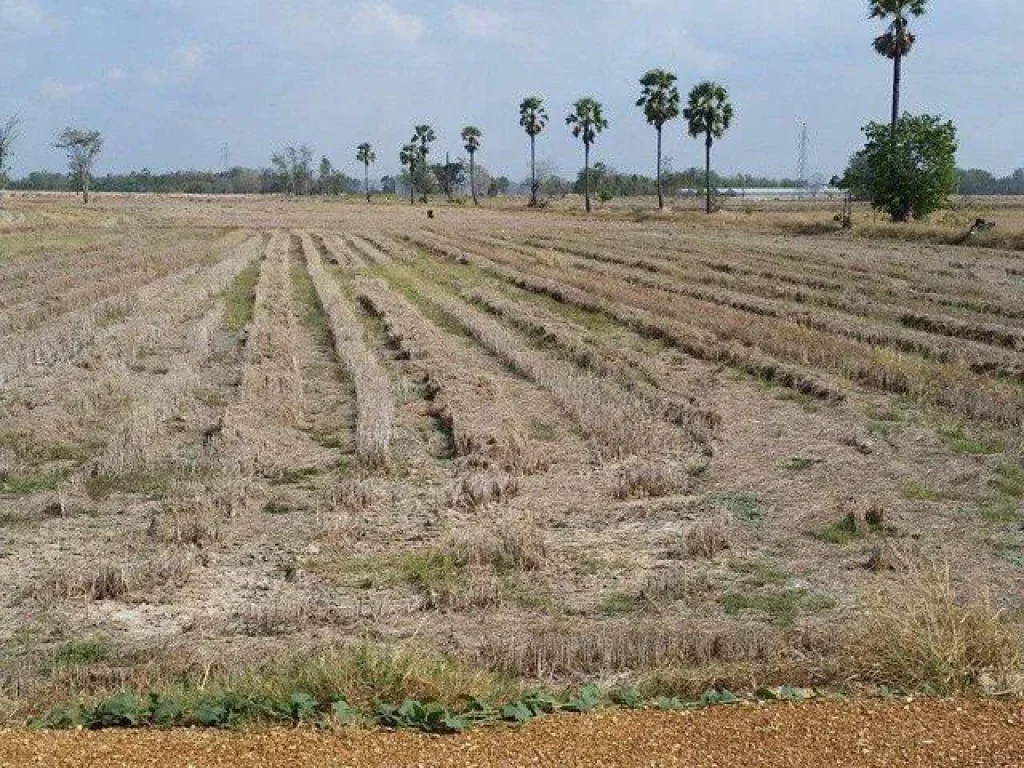 ขายที่ดินติดถนนใหญ่ ที่ดินว่าง14 ไร่ ใกล้ถนนสายเอเชีย นครสวรรค์-กำแพงเพรช