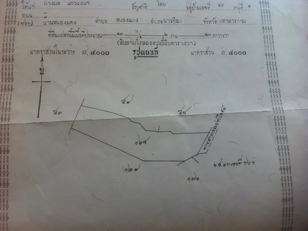 ขายที่ดินที่นา 13ไร่ จังหวัด มหาสารคาม