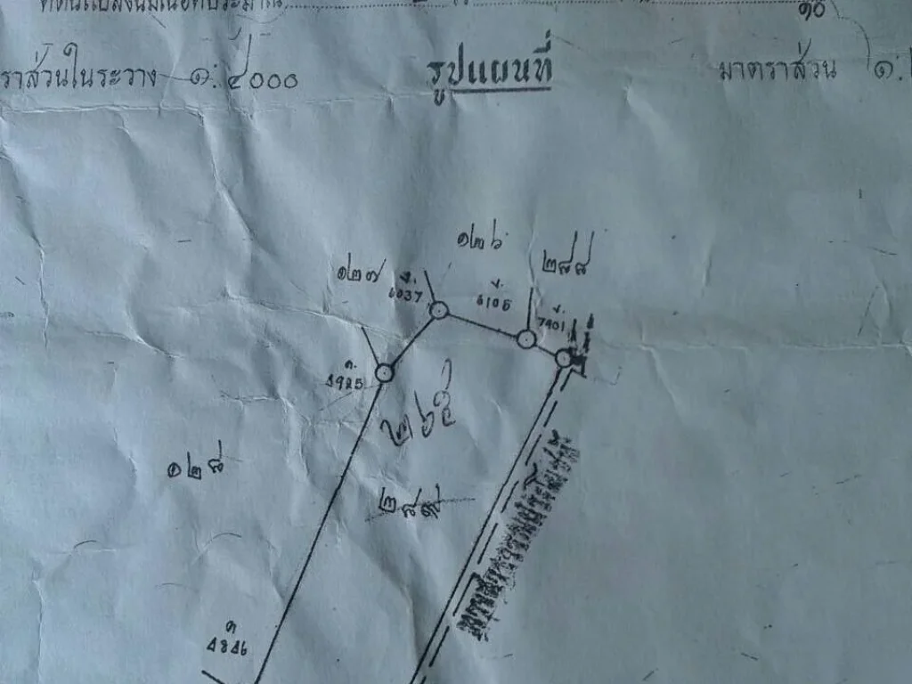 ขายที่ดิน2ไร่3งาน84ตรวตง ตวัดไทร