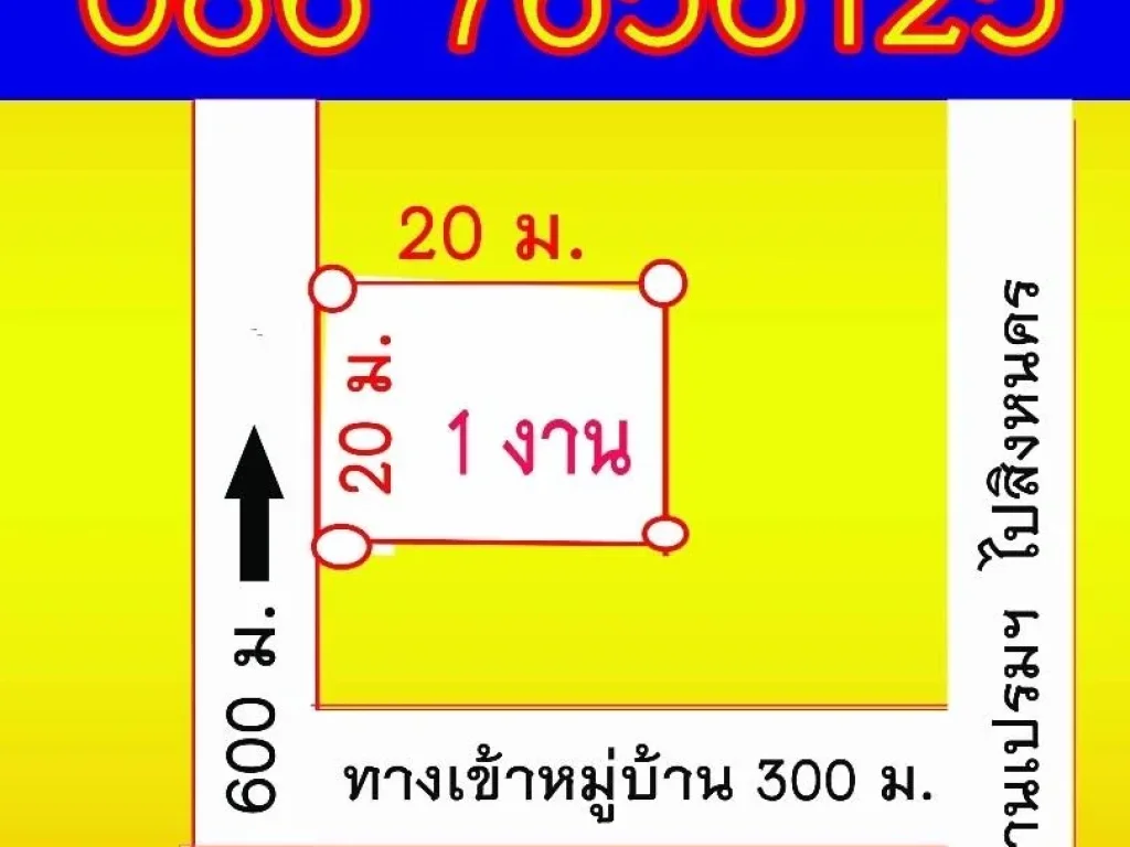 ขายที่ดิน 1 งาน 100ตรว ใกล้เกาะยอ