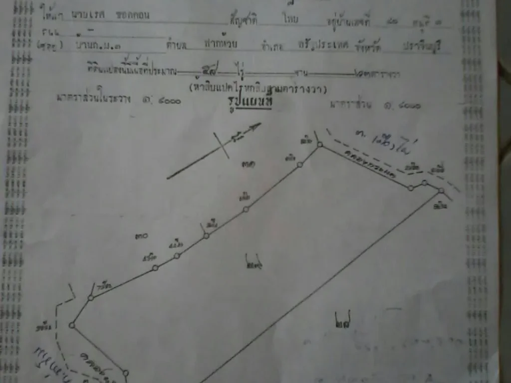 ขายที่ดิน 58 ไร่ และ 38 ไร่ อยู่ตเมืองไผ่ ใกล้กับ ตท่าข้าม ออรัญ จสระแก้ว ราคาถูก