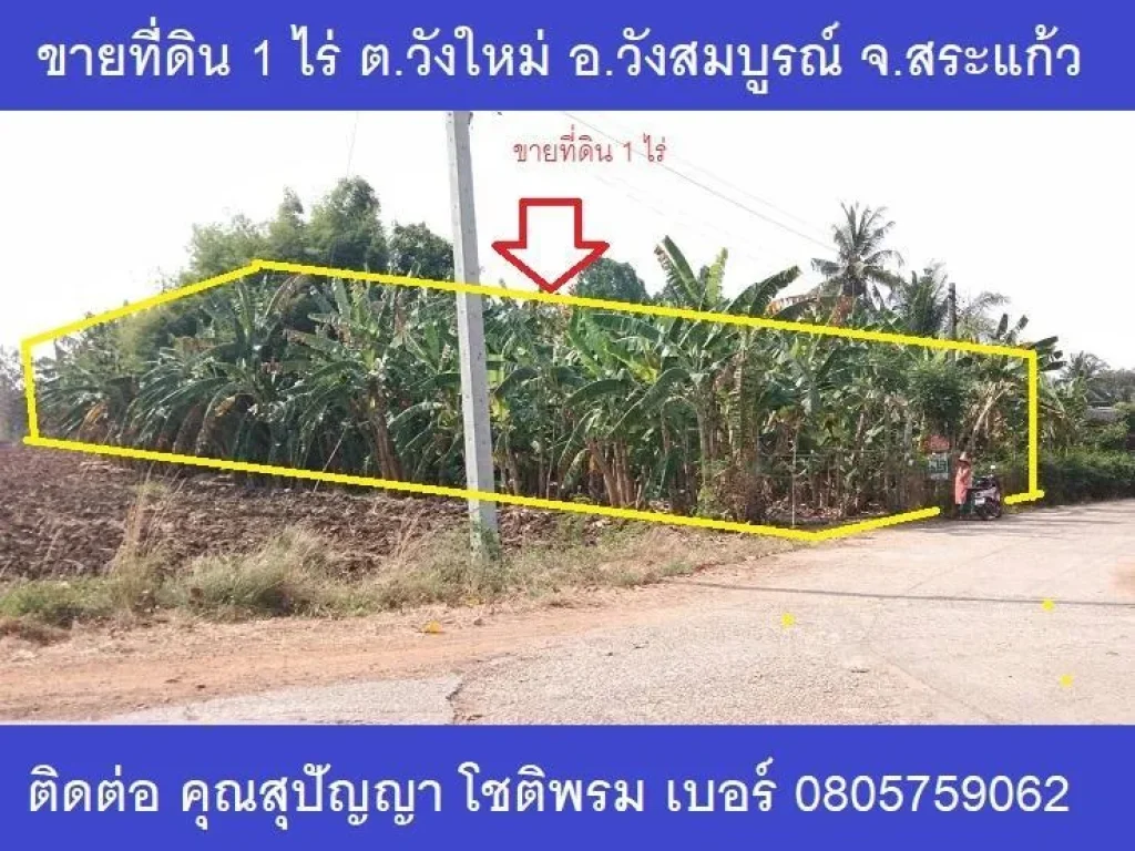 ขายด่วน ที่ดิน จำนวน 1 ไร่ มีโฉน โอนฟรี