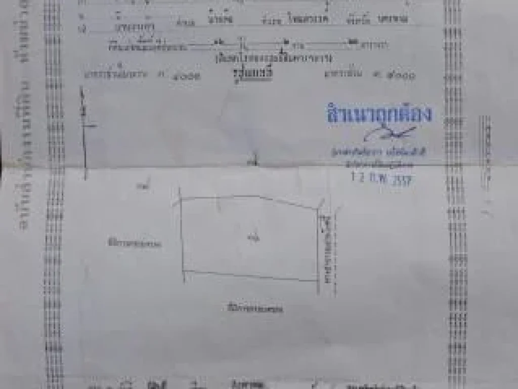 ขายที่ดิน 16 ไร่ ราคาถูก แค่ 9 แสนบาท ร้อนเงิน