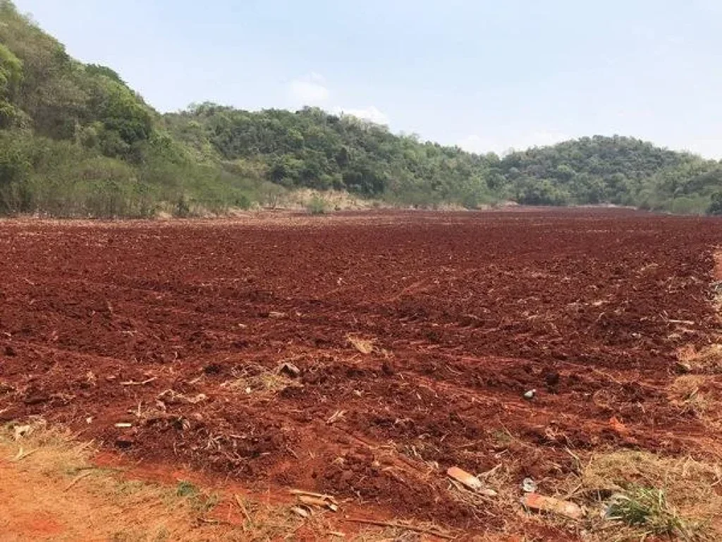 ที่ดินหนองสาหร่าย บ้านหนองหมาก ปากช่อง เขาใหญ่ 100ไร่ ขายเหมา 55 ล้าน วิวเขาใหญ่ หน้าติดถนนลาดยาง