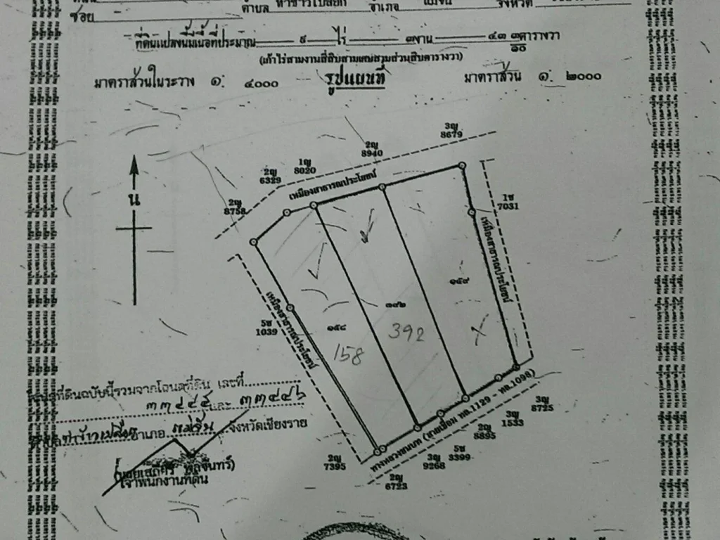 ขายที่ติดถนน 9 ไร่ งามๆสักแปลง เดินทางสะดวก เหมาะทำรีสอร์ท บ้านพัก