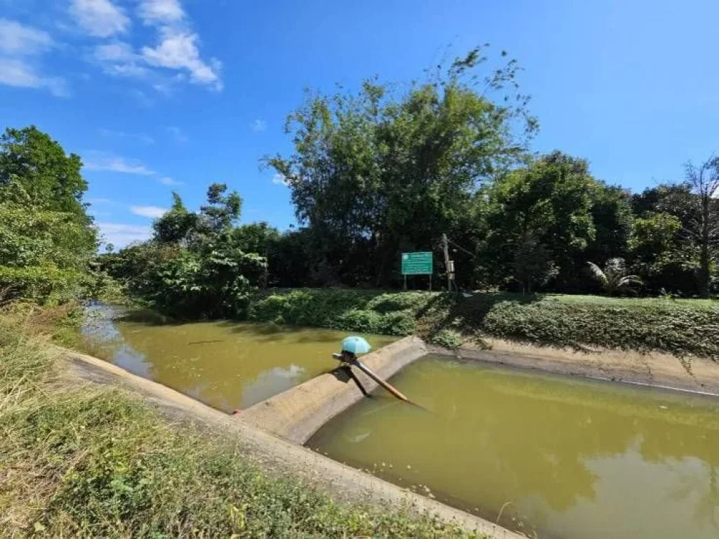 ขายสวนทุเรียนโฉนด น้ำไฟพร้อม อำเภอมะขาม จันทบุรี