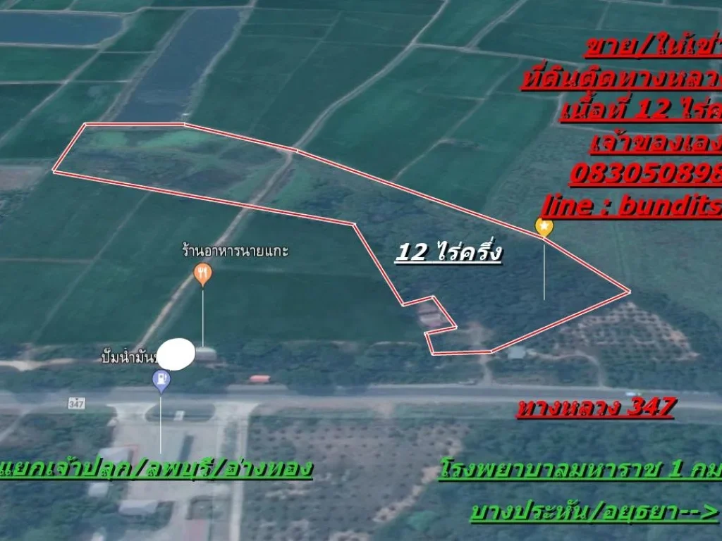 ขายให้เช่าที่ดินติดทางหลวง347เนื้อที่ 12ไร่ครึ่ง