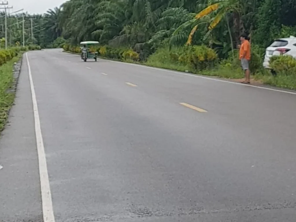 ขายที่ดินใกล้ป้อมตรแยกพรุพรี ม7 ทรายขาว