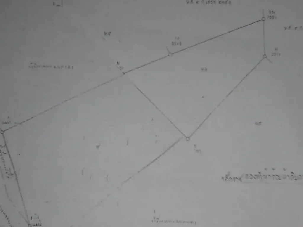 ขายที่ดินติดถนนแสงชูโตขา323เข้ากรุงเทพ