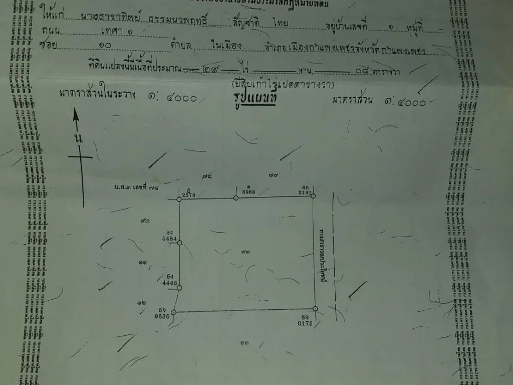 ขายที่ี่ดินพร้อมต้นสักปลูกตั้งแต่ปี 38 ตำบลคลองแม่ลาย 28 ไร่