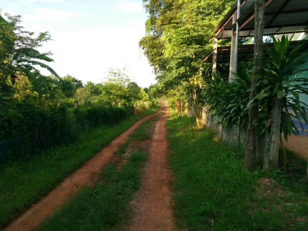 ที่ดินพร้อมสิ่งปลูกสร้าง บ้าน ร้านอาหาร หอพัก บ่อเลี้ยงปลา ติดถนนลาดยาง