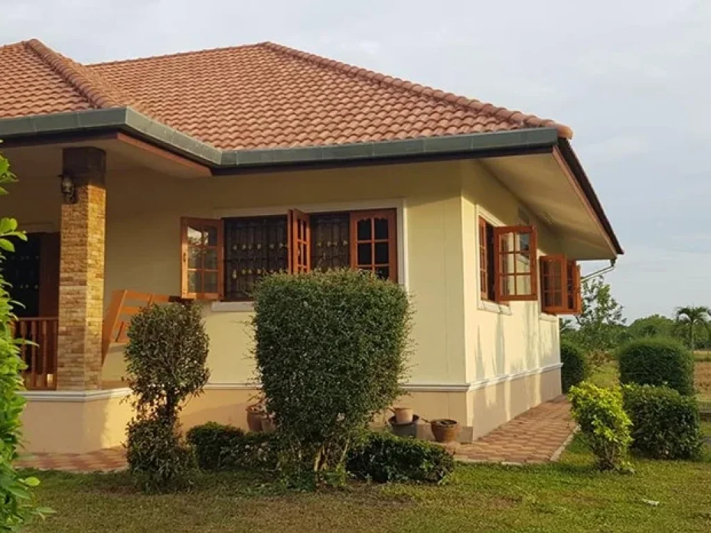 House for sale between Sansai and Mae Jo Chiangmai