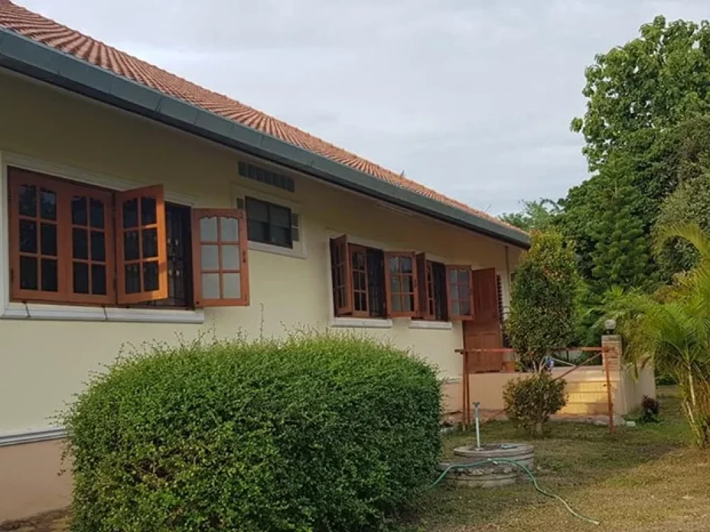 House for sale between Sansai and Mae Jo Chiangmai