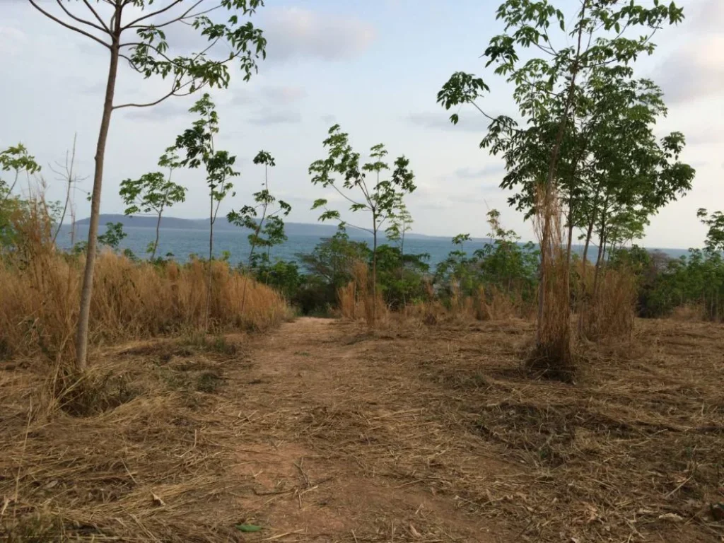 ที่ดินเกาะหมาก ทะเลล้อมรอบ ตรงข้ามเกาะกูด ชมวิวได้ 360องศา