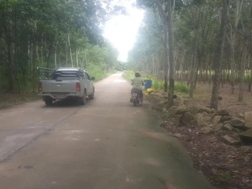 ที่สวย ติดคลองใหญ่ ถนนคอนกรีต โฉนด 50 ไร่