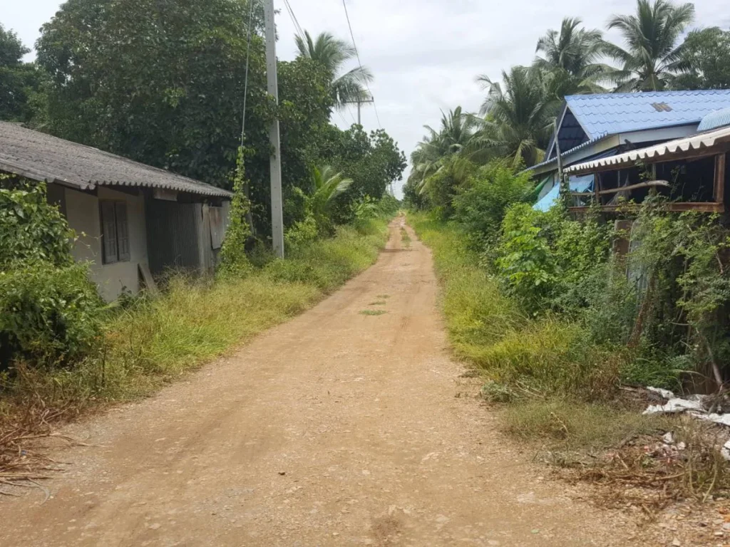 ขายที่ดินหลังโรงเรียนหนองเสือวิทยาคม ปลูกบ้าน 200 ตรว