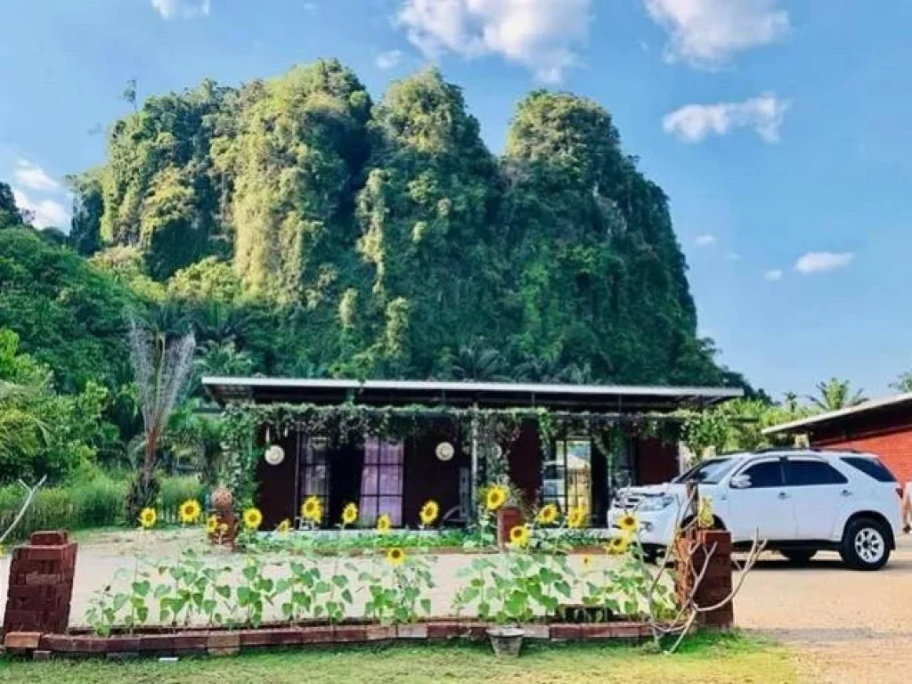 ขายที่ดิน 2 ไร่ 2 งาน พร้อมสิ่งปลูกสร้าง บ้านพัก รีสอร์ทอยู่ใจกลางหุบเขา อำเภออ่าวลึก จกระบี่