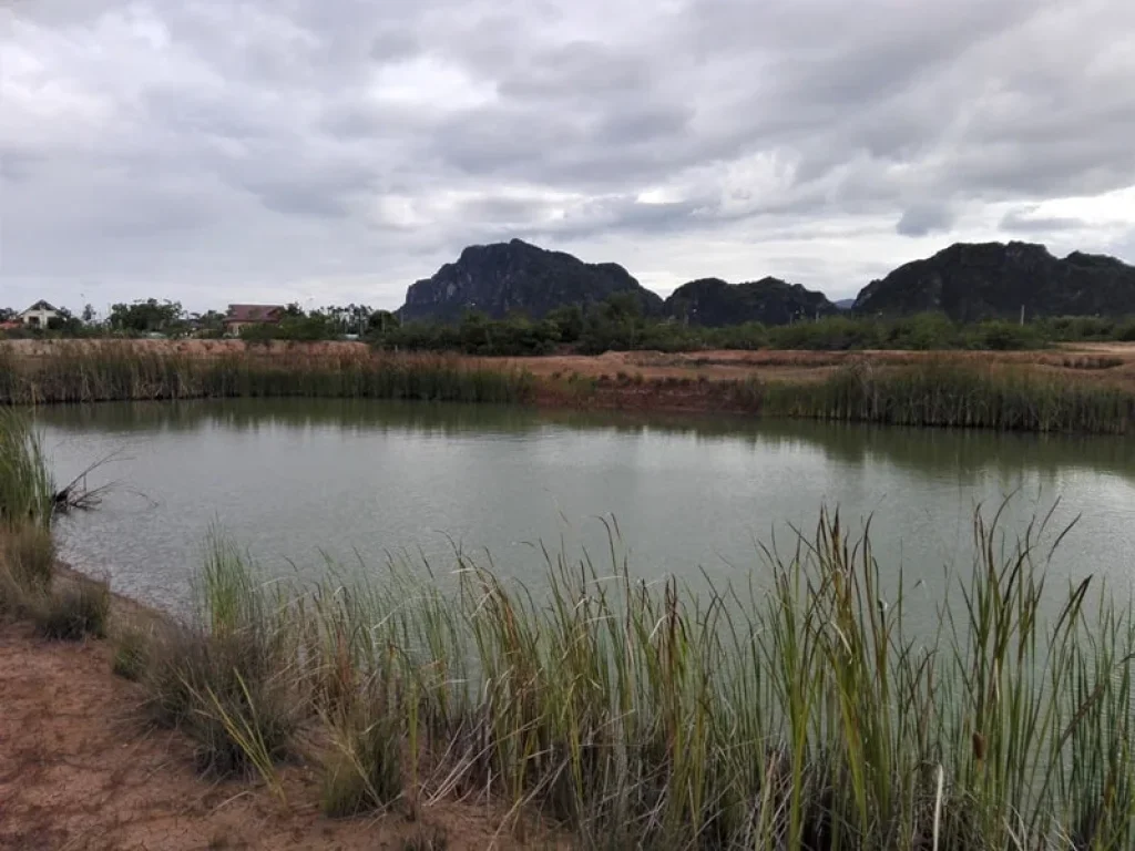 ขายที่ดินชะอำ วิวภูเขาสวย