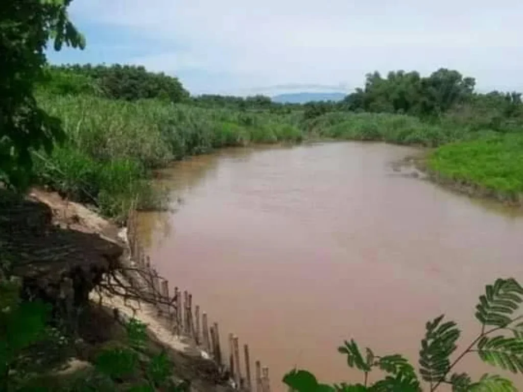 ขายที่ดินเปล่าสันป่าตองเชียงใหม่