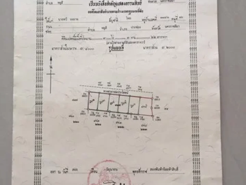 ขายที่ดินเปล่าเขาใหญ่ อำเภอปากช่อง จังหวัดนครราชสีมา เนื้อที่ 244 ตรว