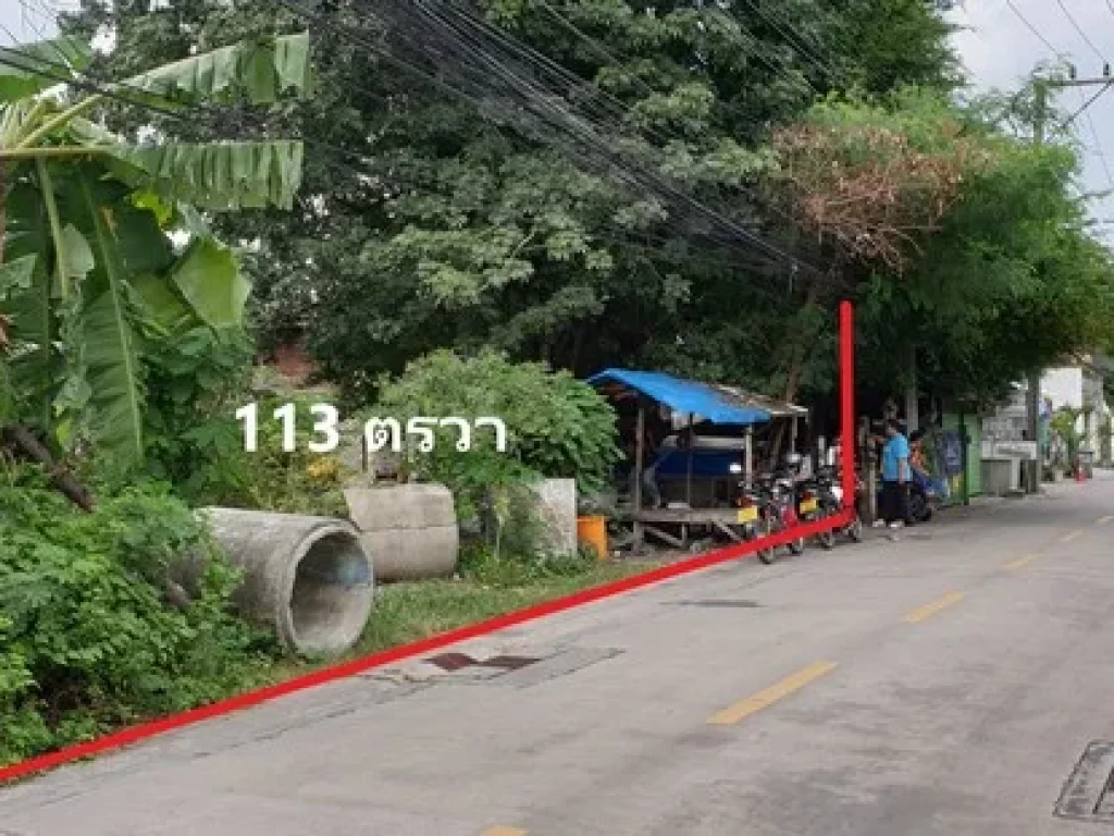 ขายที่ดิน 113ตรวา ในซอยสุขุมวิท 971 ใกล้ Bts บางจากเพียง 650 เมตร ทำเลสวย