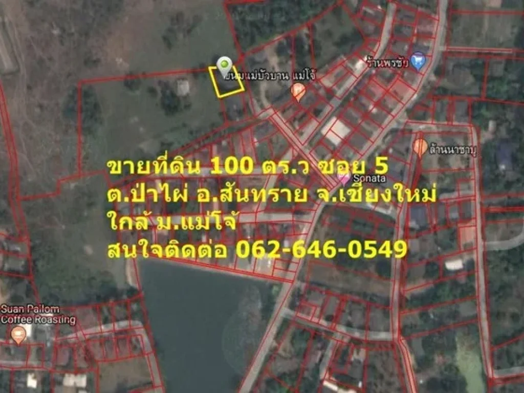 ขายที่ดิน ในหมู่บ้านจัดสรรหลังคาแดงเก่า ซอย 5 ตป่าไผ่ อสันทราย จเชียงใหม่ 062-646-0549 คุณแบงก์