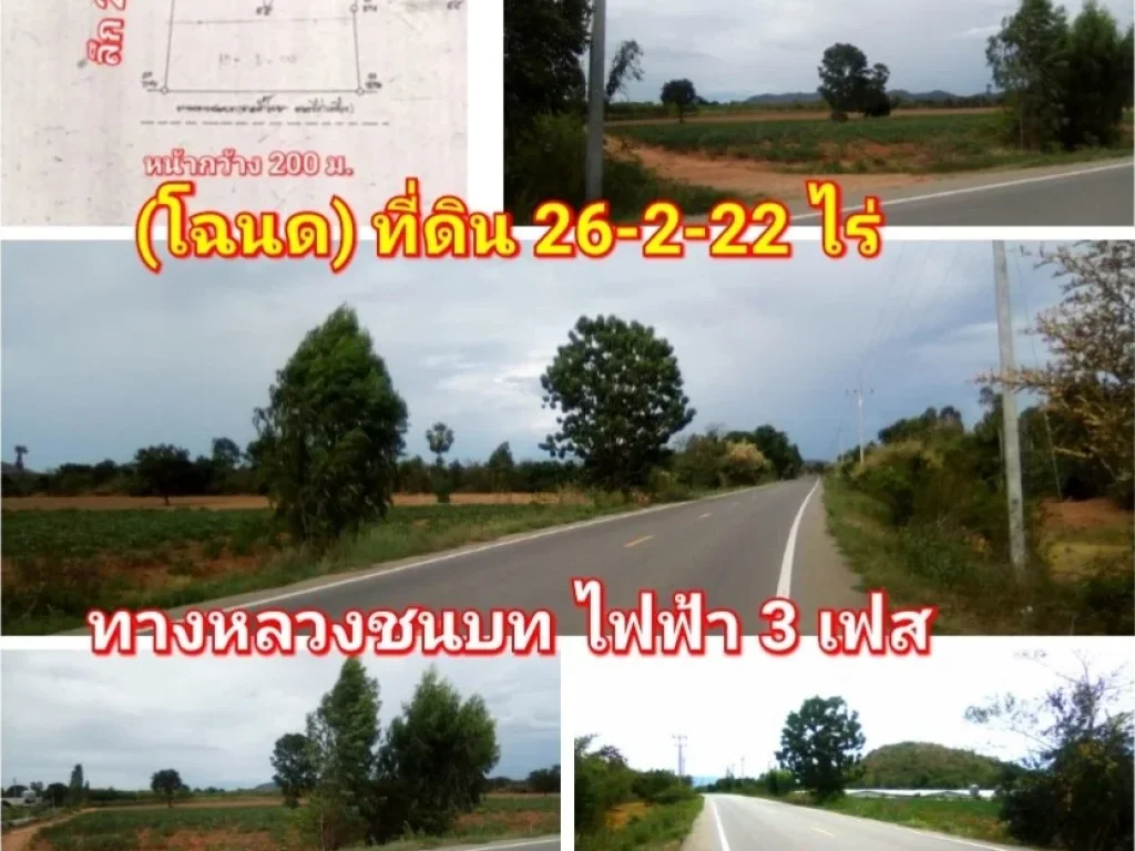 ขาย โฉนด ที่ดิน 304 ไร่ๆละ 160000 บ เหมาะปลูกพืช ทำการเกษตร สวนป่า ไม้เศรษฐกิจ โกดังสินค้า ถนนลาดยาง ไฟฟ้า น้ำ ออู่ทอง อดอนเจดีย์ จสุพรรณบุรี