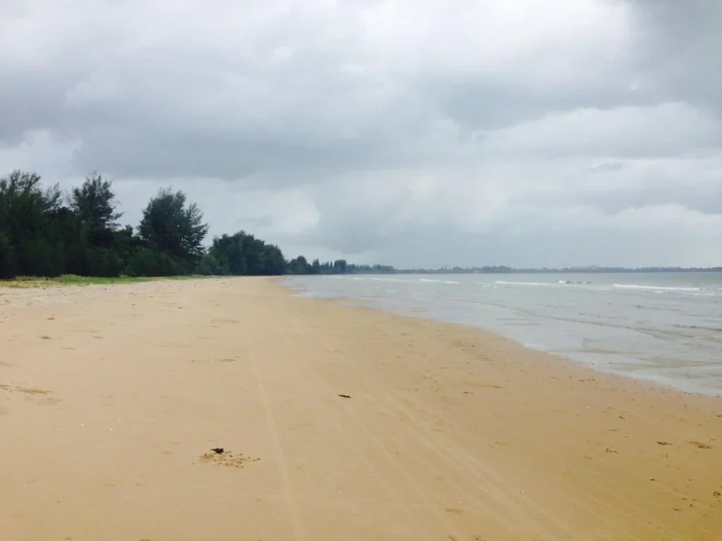 ขายที่ดินติดทะเล หาดสวย จชุมพร 1 ไร่ครึ่ง 78 ล้านบาท Beachfront land for sales 78 MB