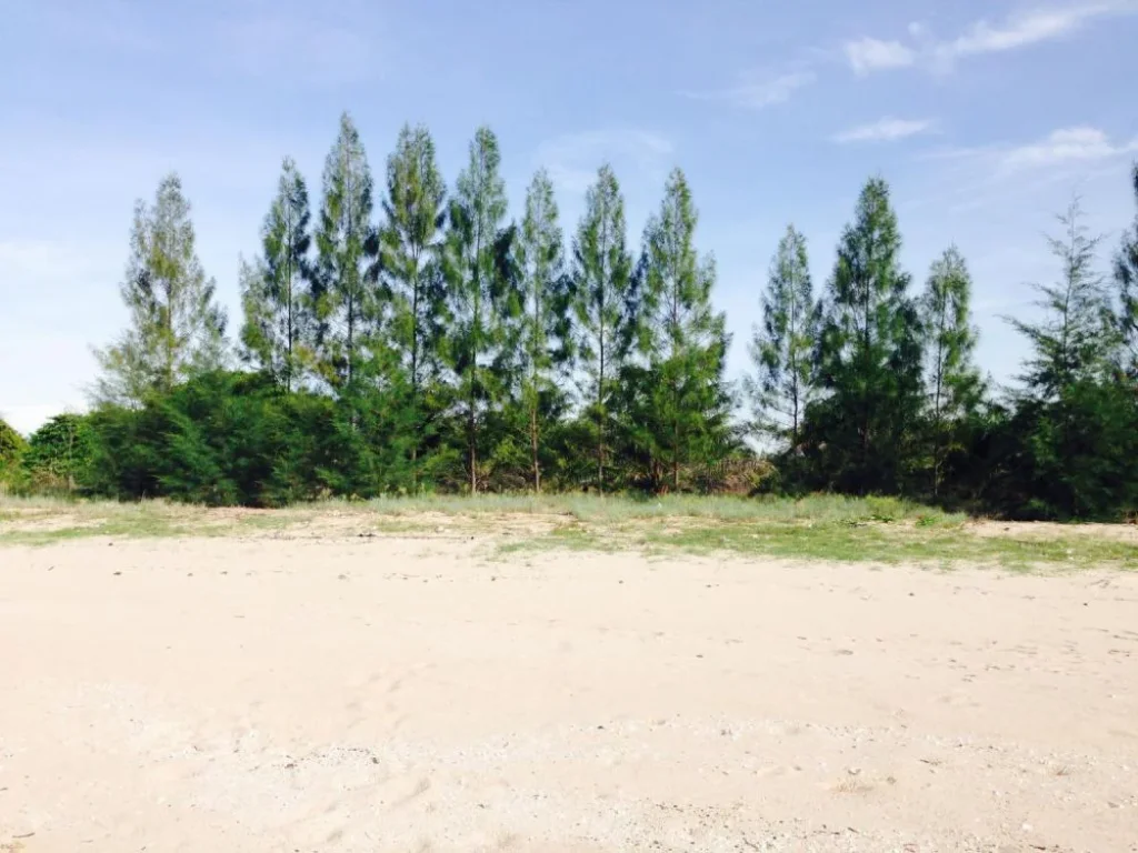 ขายที่ดินติดทะเล หาดสวย จชุมพร 1 ไร่ครึ่ง 78 ล้านบาท Beachfront land for sales 78 MB