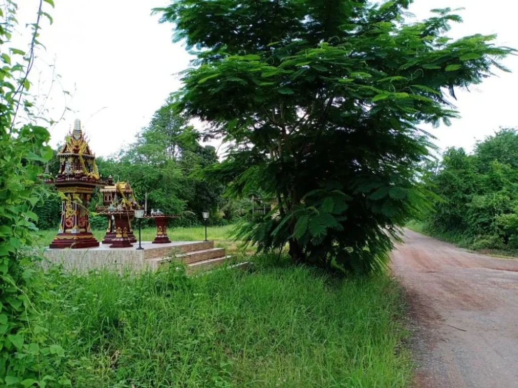 ขายที่ 14-0-82 ไร่ จจันทบุรี ติดถนนสุขุมวิท เหมาะ สร้างโรงงาน ล้งทุเรียน หรือ โรงแรม รีสอร์ท