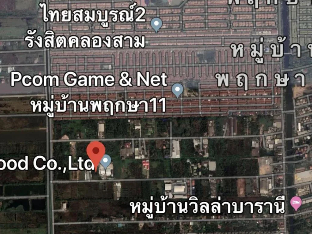 ขายที่ดินคลองหลวง คลองสาม 2 ไร่