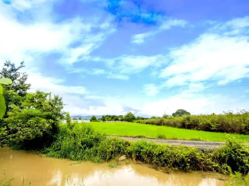 ขายที่ดินวิวดอย สันโป่ง แม่ริม เชียงใหม่