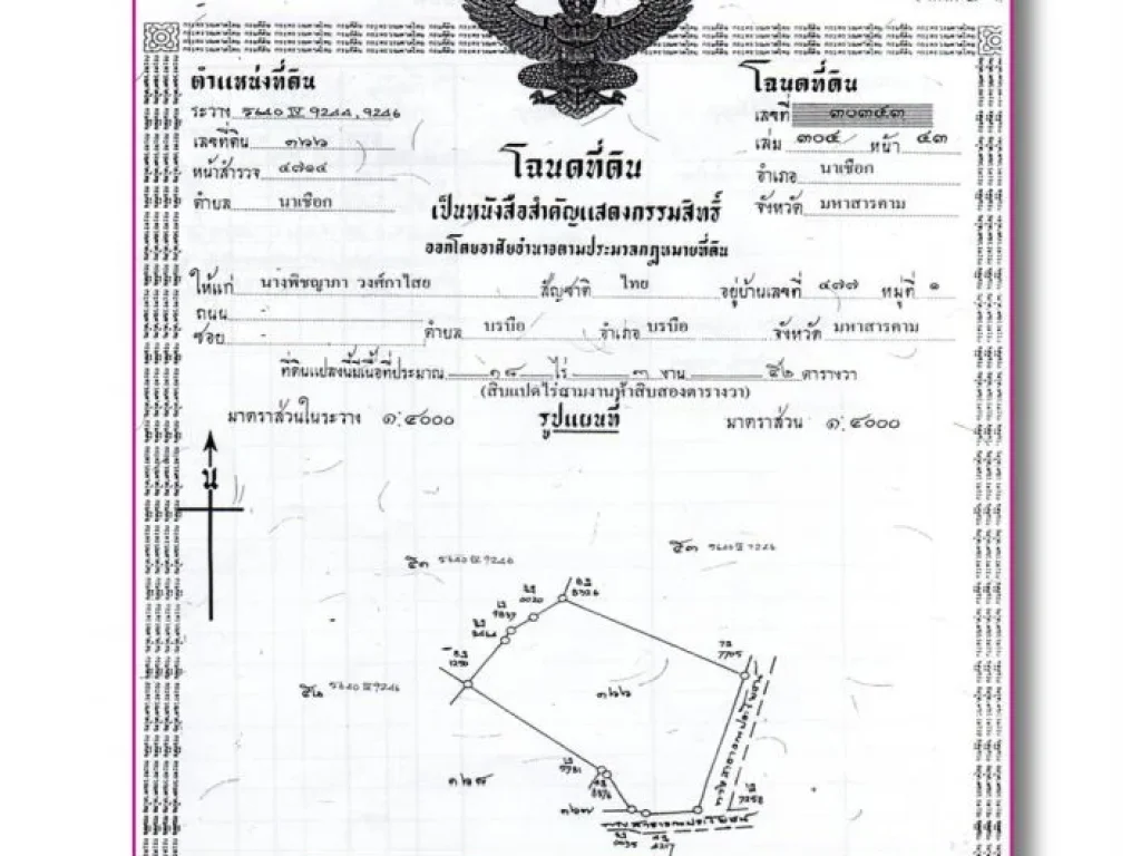 ขายด่วน สวนตาซาย 18352ไร่ อนาเชือก จมหาสารคาม