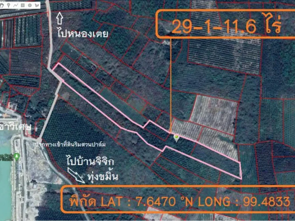 ขายที่ดินสวนยางพารา ใกล้วังนกน้ำ ตเขาวิเศษ อวังวิเศษ จตรัง ขนาด 29 ไร่ 1 งาน 116 ตรวา