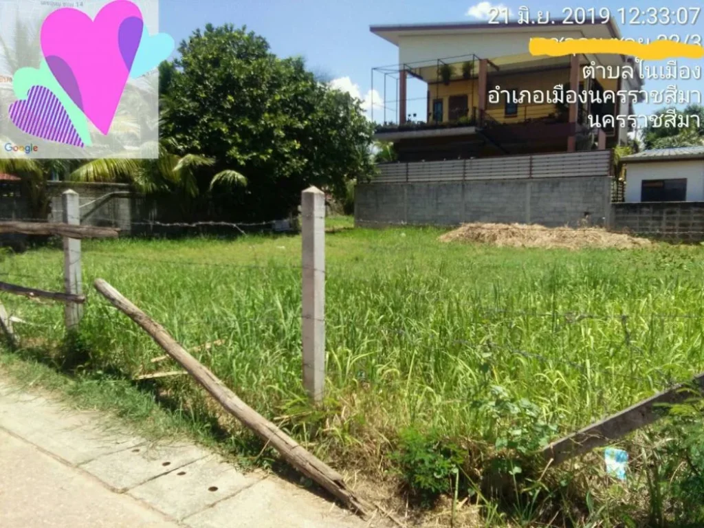 ขายที่ดิน 208 ตรว ติดถนน ตหนองไผ่ล้อม อเมือง จ นม ใกล้ตลาดหนองไผ่ล้อม