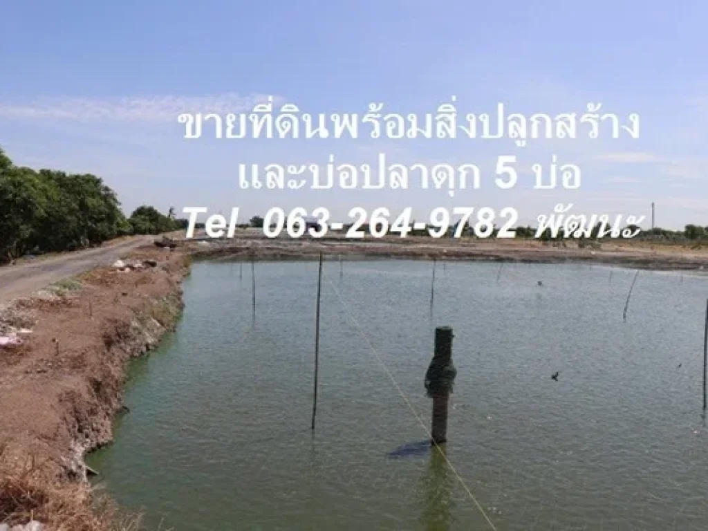 ขายที่ดิน มีบ่อเลี้ยงปลาดุก 5 บ่อ ตำบลบางเตย จังหวัดปทุมธานี ที่ดิน 15 ไร่ 116 ตารางวา