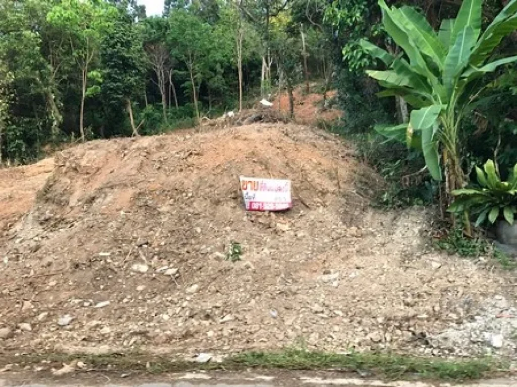 ขายที่ดิน ติดถนนรอบเกาะยอ วิวทะเลสาปลงขลา จังหวัดสงขลา