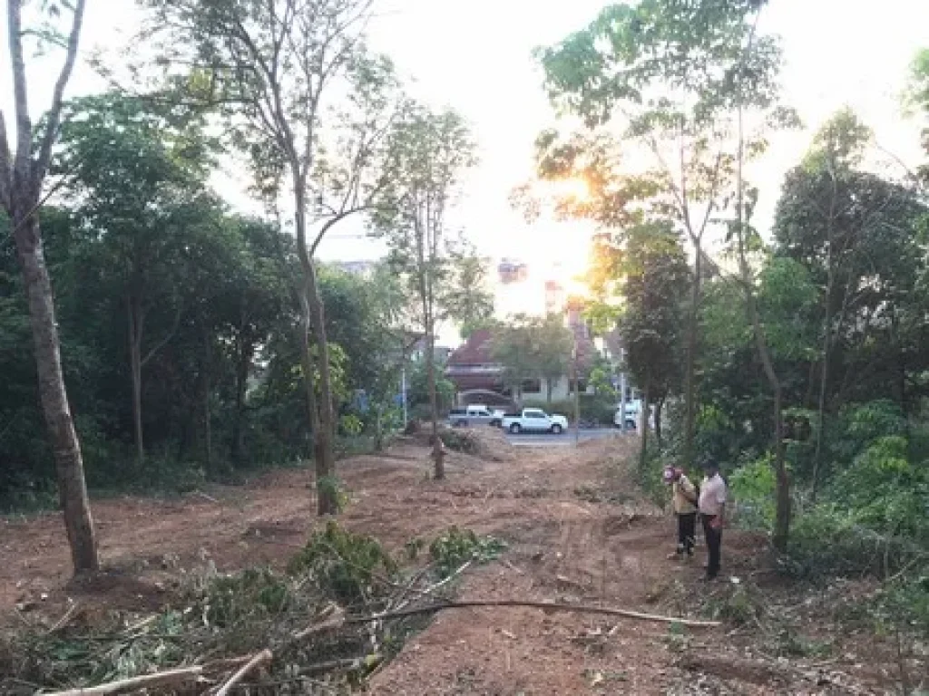 ขายที่ดิน ติดถนนรอบเกาะยอ วิวทะเลสาปลงขลา จังหวัดสงขลา